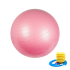 Balancieren Sie Trainer 25cm 9,8 Zoll Yoga-Ball-Übungs-Ausrüstungs-Antiexplosion
